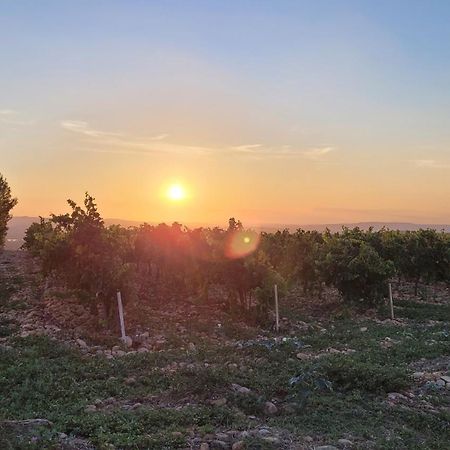 Le Willow Chateauneuf-du-Pape Luaran gambar