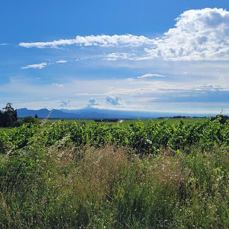 Le Willow Chateauneuf-du-Pape Luaran gambar
