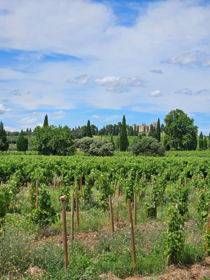 Le Willow Chateauneuf-du-Pape Luaran gambar